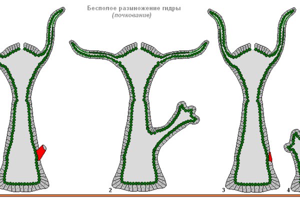 Кракен как войти