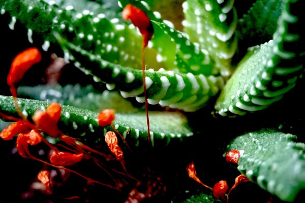 Kraken ссылка kraken link24 info