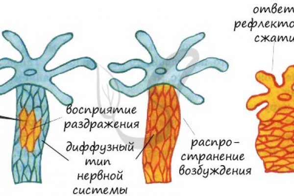 Кракен орг