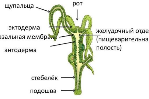 Кракен зеркало тор
